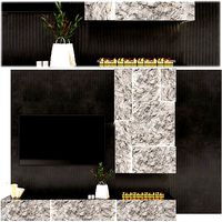 TV wall and fireplace