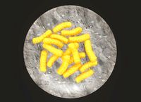 stylized snack food 009 VR Webtoon Webcomic Manga Toon Comic