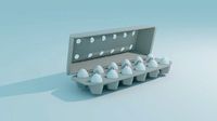 egg carton WITH EGGS
