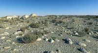 Desert 7