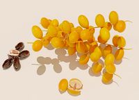 Dates Fruit