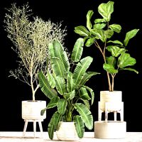 plants in decorative white rattan baskets 1017