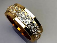 FSEN RING