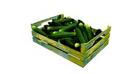 3D Vegetable Model