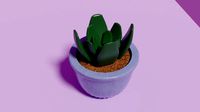 plant