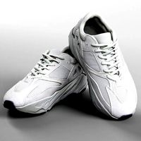 001219 adidas yeezy boost 700
