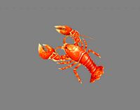 cartoon lobster - sea shrimp - crab