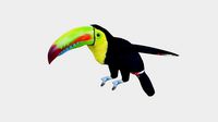 Low Poly Toucan Rigged With Realistic Texture