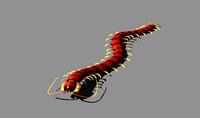 cartoon centipede