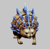 hedgehog pet