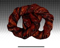Chocolate Bagel