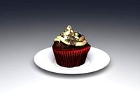 Chocolate Muffin