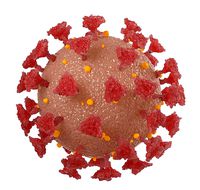 3D CoronaVirus SARS-CoV-2 COVID-19 Highpoly 3D