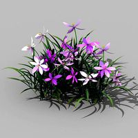 Shanglin Yuan - plants - flowers 03