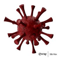Coronavirus - PBR -