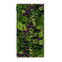 Vertical gardening 014