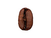 Photorealistic Coffee Bean 3D Scan