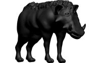Warthog