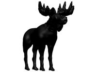 Moose