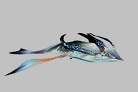 whale
