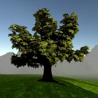 game ready model old oak