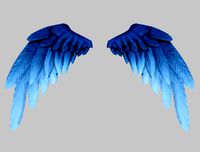 blue wings