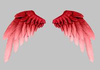 red wings