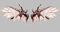 white wings
