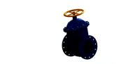 gate valve