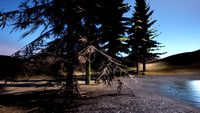 spruce tree pack - ue5 -4