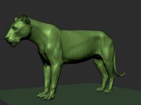 lion