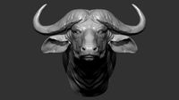 buffalo head