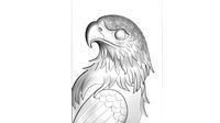 eagle relief
