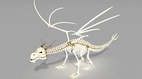 dragon skeleton