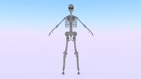 Skeleton of a Woman