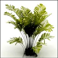 palm 3d