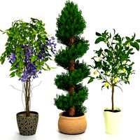 plants set 2