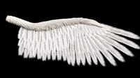 wing blender low-poly