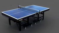 ping pong table