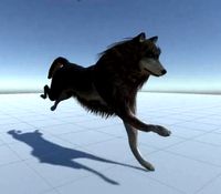 wolf