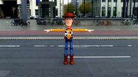 wudy-007 rigged woody
