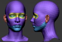 head basemesh female