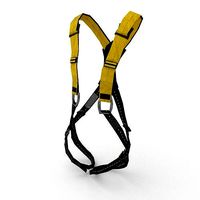 Safety Harness