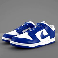 nike dunk low varsity royal pbr