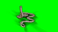 snake