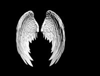 angel wing