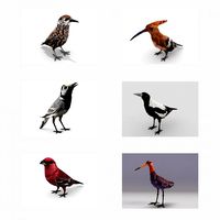 european birds bundle