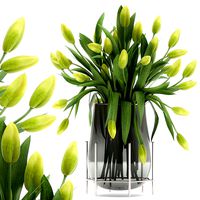 bouquet of green tulips in a vase 116
