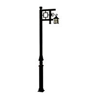 camelia light pole