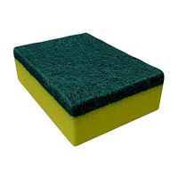 Kitchen Sponge